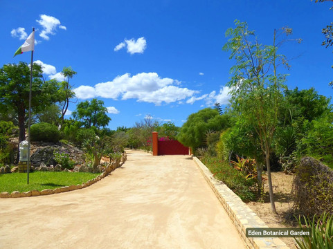 Eden Botanical Garden Toliara