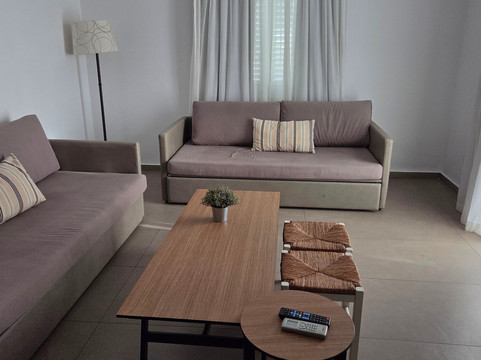 阿利亚松爱琴主图