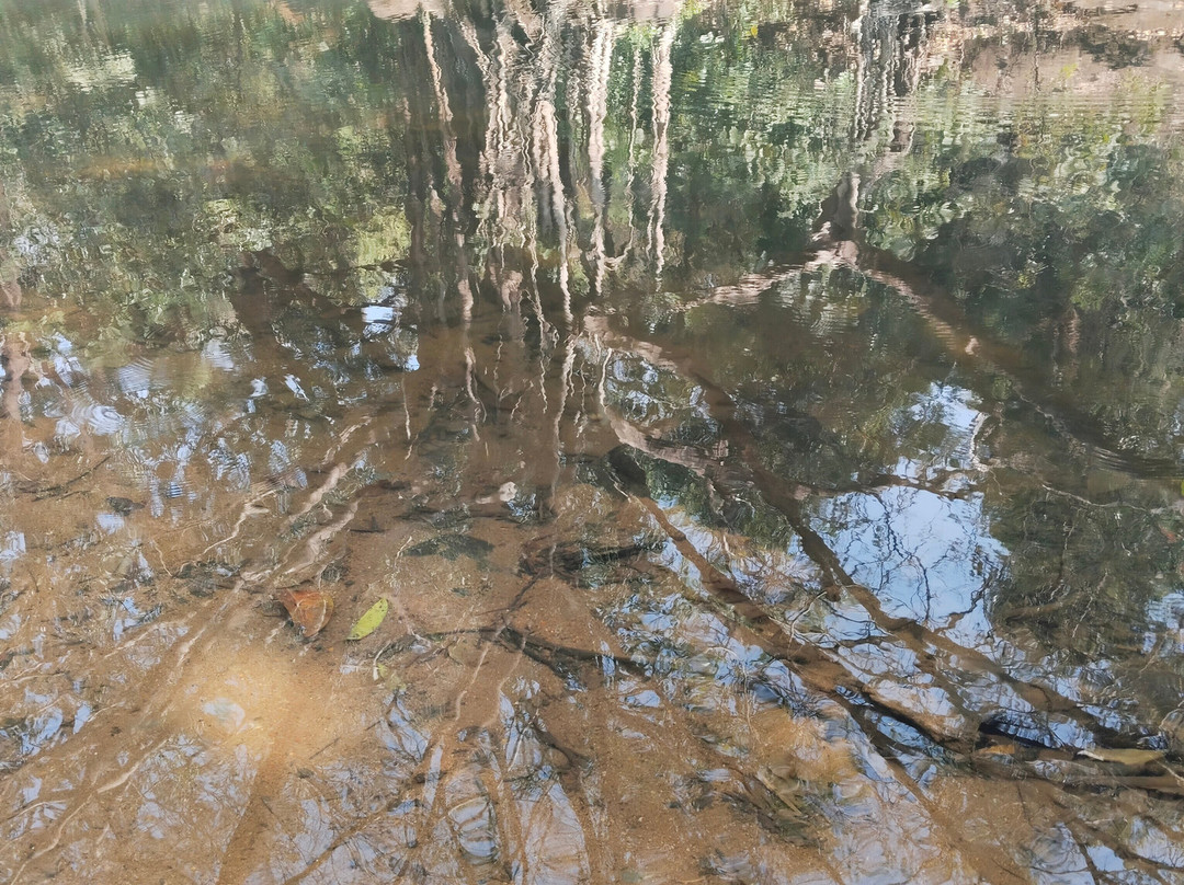 Tambdi Surla Waterfall-Surla必去景点