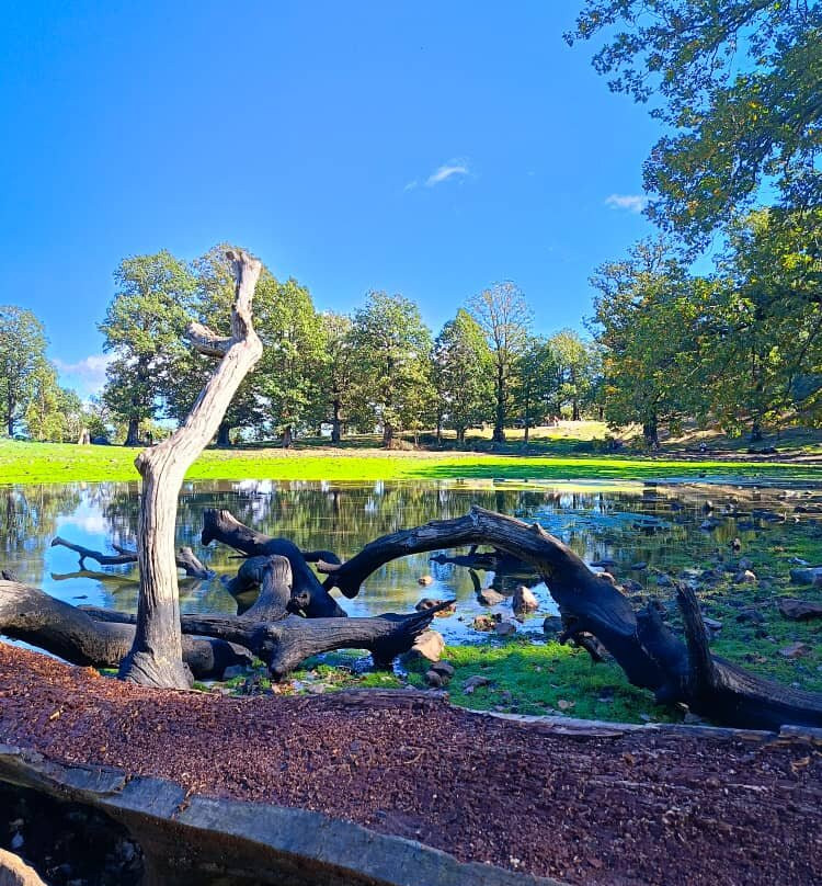 Nboujiw-阿尔及尔必去景点