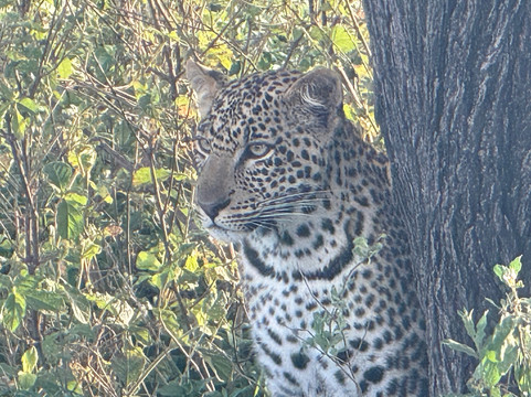 Momella African Adventure-阿鲁沙必去景点