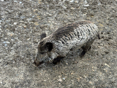 La Garenne-Le Vaud必去景点