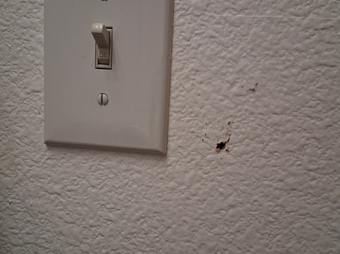 艾比溪宾馆主图