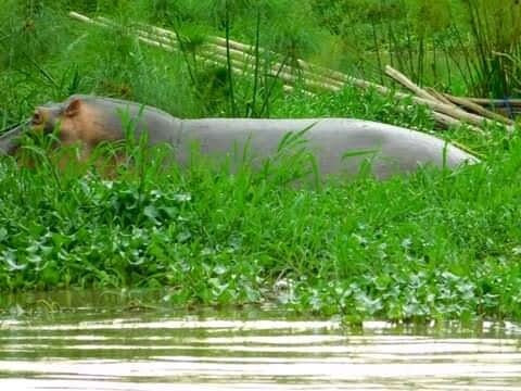 Dunga Beach-基苏木必去景点