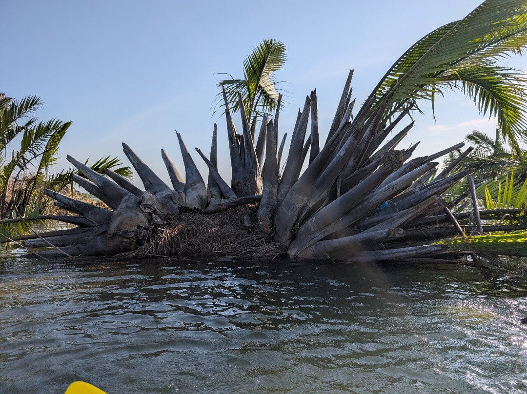 Hoi An Kayak Tours-会安必去景点