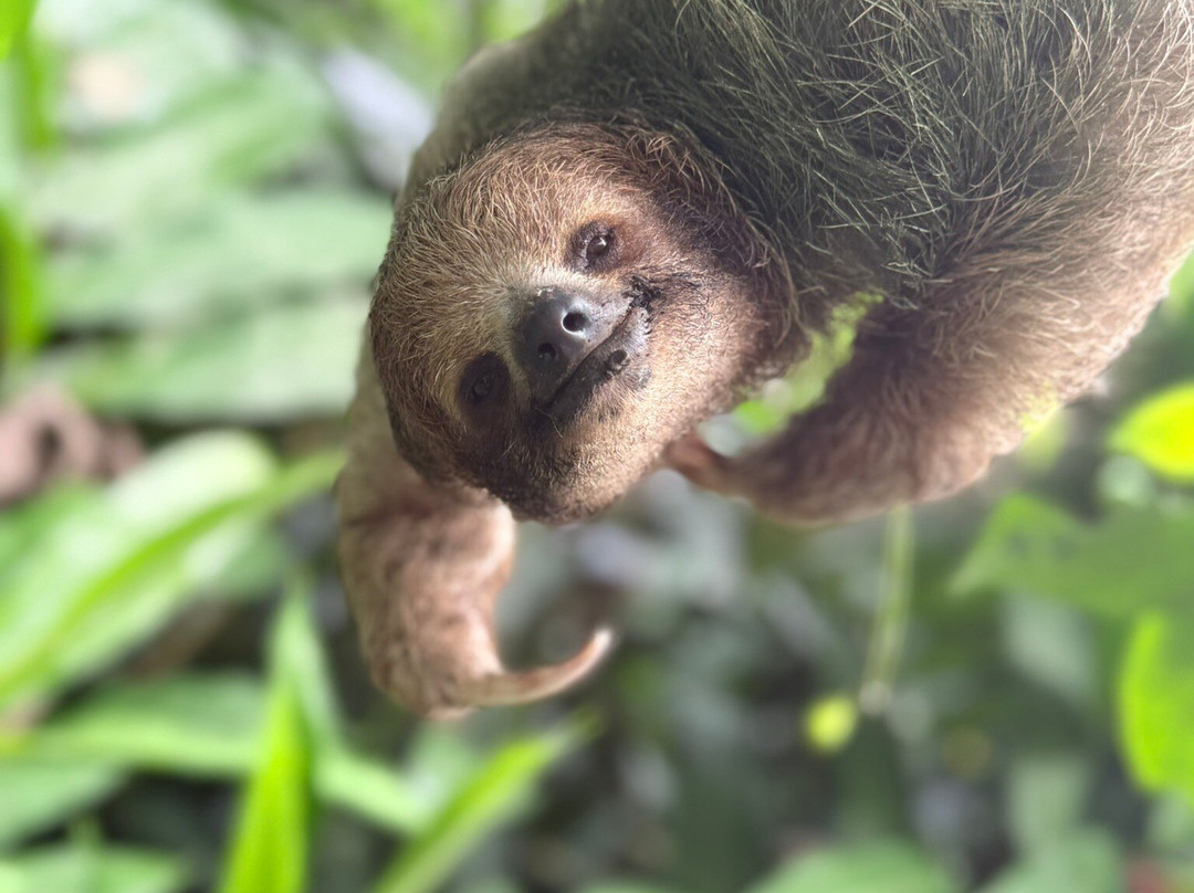 Discover Costa Rica Tours and Transfers-利比里亚必去景点