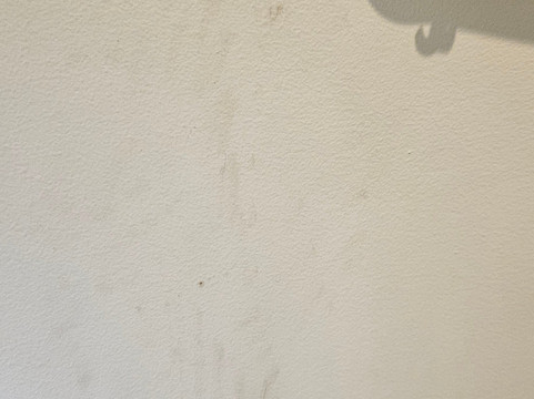 列王纹章蔻琴旅馆主图