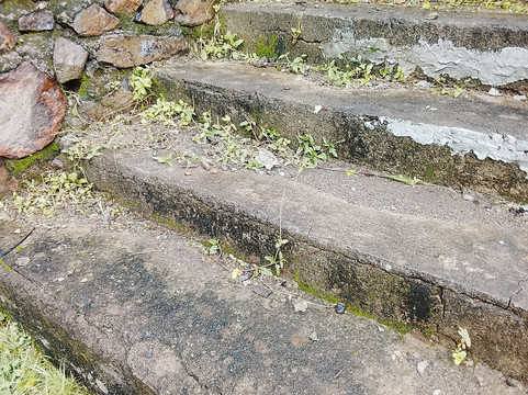 无尽夏日度假村主图