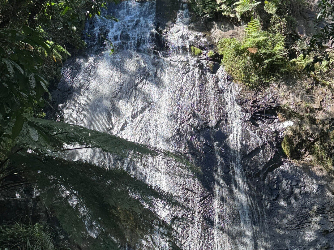 De Tour Con Ali-圣胡安必去景点