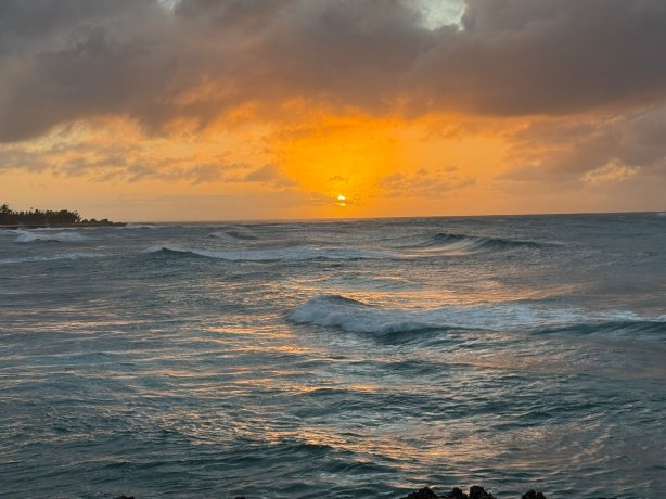 丽思卡尔顿酒店，欧胡岛，龟湾-官方