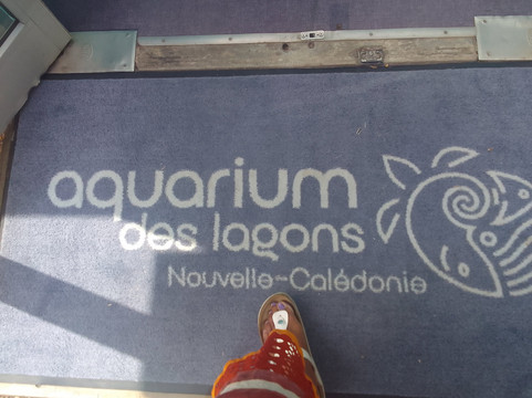 Aquarium des Lagons Nouvelle Caledonie-努美阿必去景点