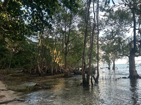 Hotel Alizees Morere主图