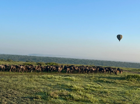 Tanzania-Experience-阿鲁沙必去景点