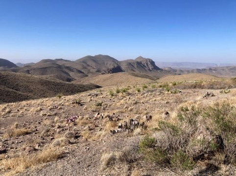 Ross Maxwell Scenic Drive-大弯国家公园必去景点