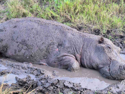 Katona Tours and Travel-吉佳利必去景点