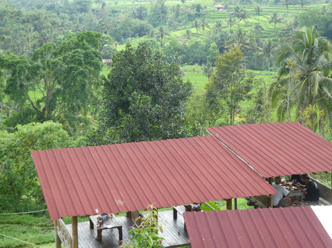 Jatiluwih Bali-Jatiluwih必去景点