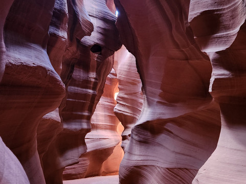 Black Streak Canyon Tours-佩吉必去景点