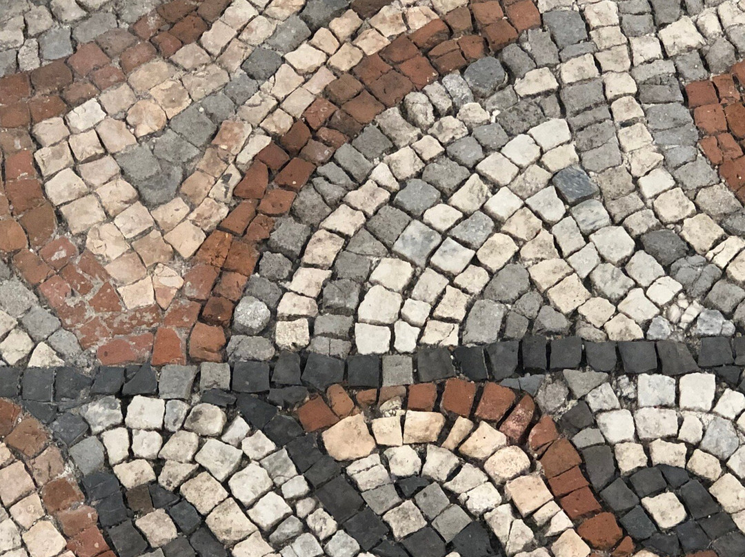 Museo Archeologico Nazionale Di Mantova-曼托瓦必去景点