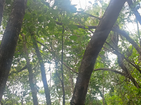 Viva Brotas Ecoparque-Brotas必去景点