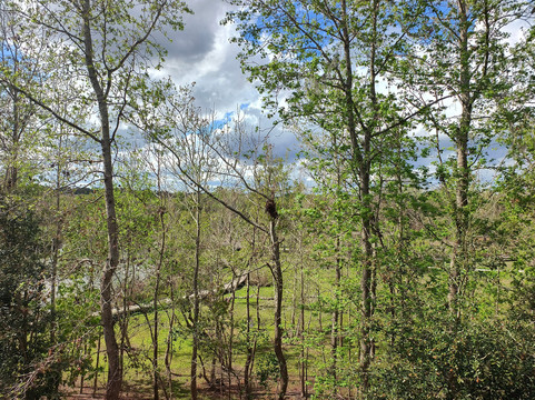 Bonnet Springs Park-莱克兰必去景点