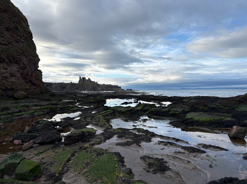 Seacliff Beach-北柏威克必去景点