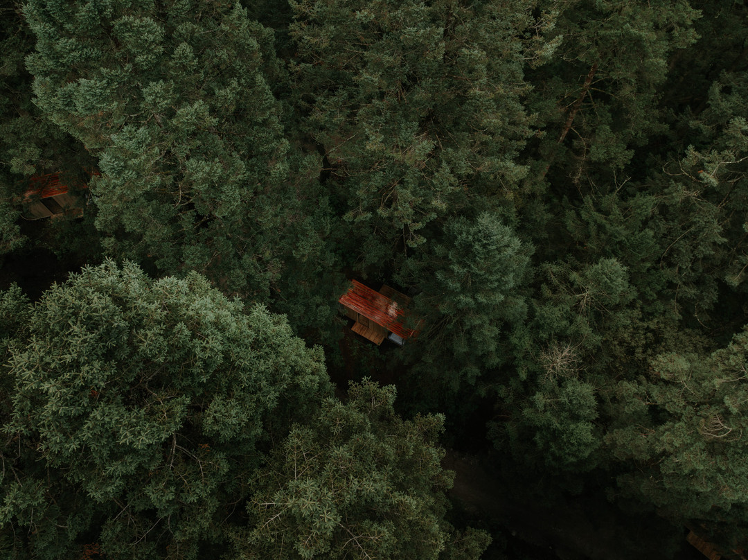 Wander Cabins Villa Alpina