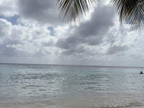 Anse Figuier-Riviere-Pilote必去景点