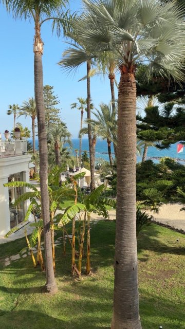 圣雷莫皇家酒店-官方