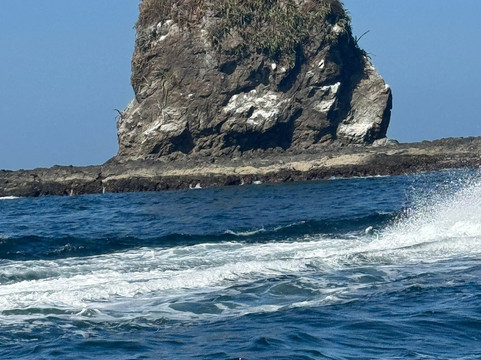 Marea Alta Ocean Adventures-Playas del Coco必去景点