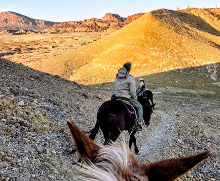 Big Bend & Lajitas Stables-Terlingua必去景点