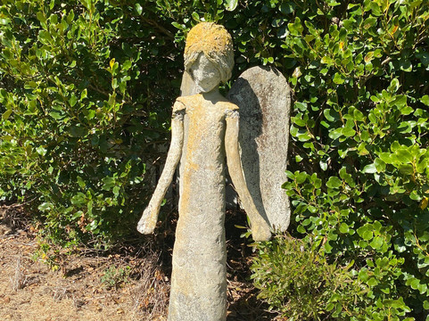 Smallest Chapel In New Zealand-Aratapu必去景点