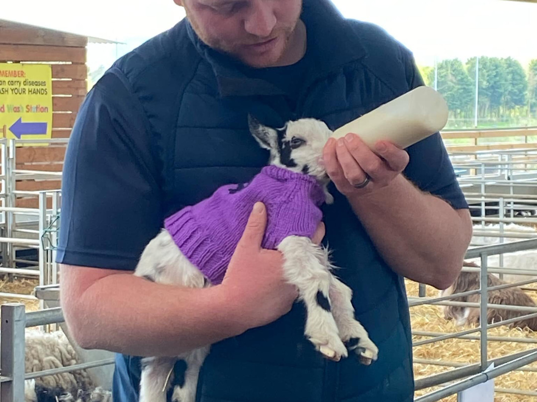 Dalscone Farm Fun-邓弗里斯必去景点