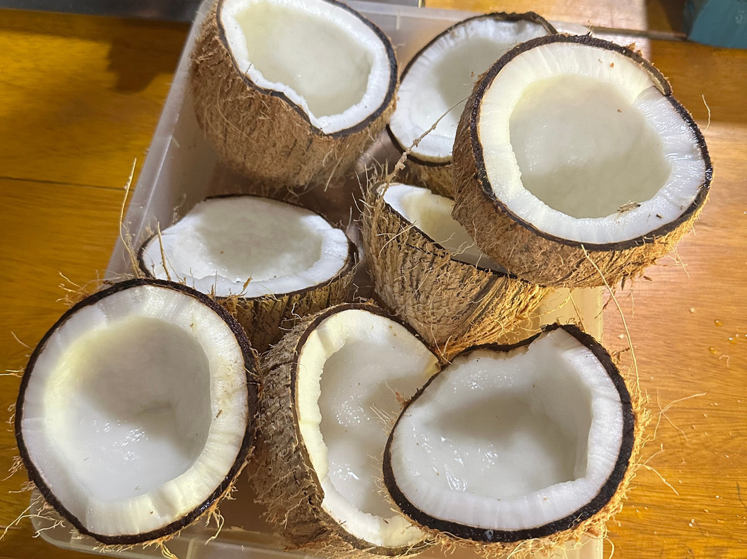 Anyone Can Cook - Bentota Cooking Class-班托塔必去景点