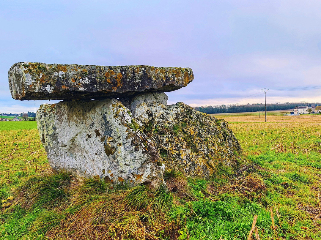 Dolmen de Bommiers-Sainte-Maure-de-Touraine必去景点