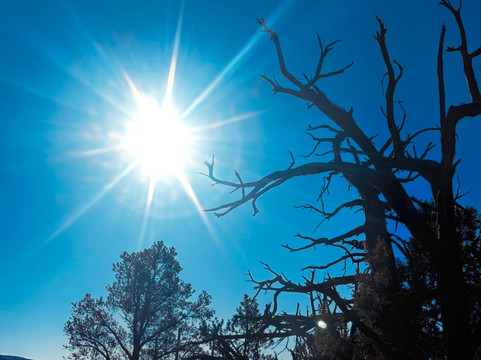 Vortex Yoga Hiking In Sedona-塞多纳必去景点