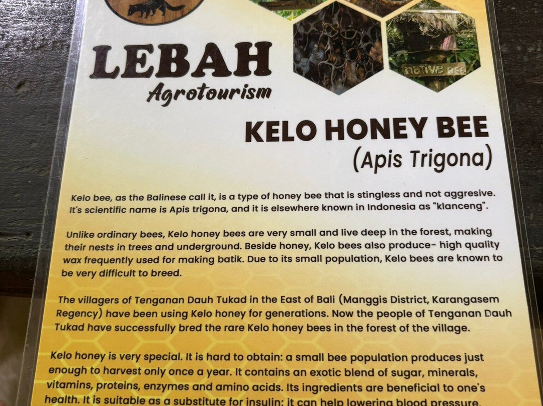 Honeybee Farm & Luwak Coffee Agrotourism-登安南必去景点