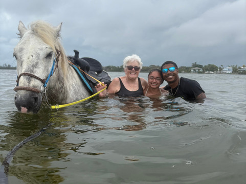 Florida Beach Horses-布雷登顿必去景点