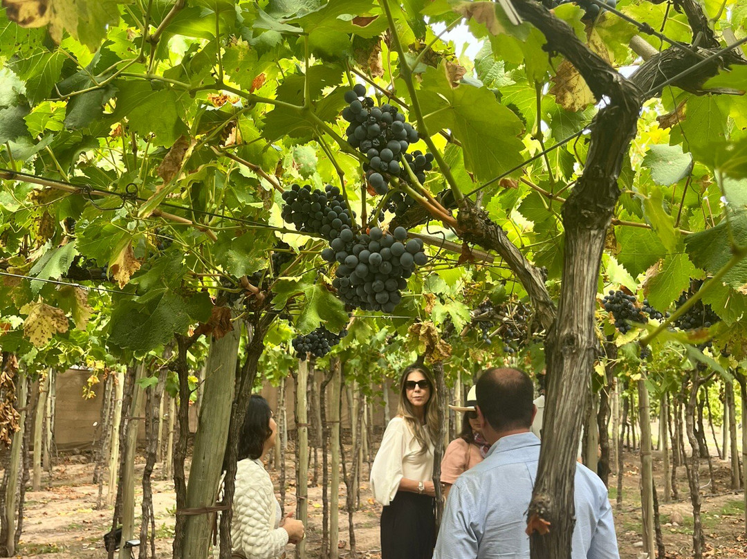 Casa El Enemigo-Maipu必去景点