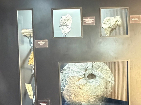 Museo Salesiano / Magiorinno Borgatello-蓬塔阿雷纳斯必去景点