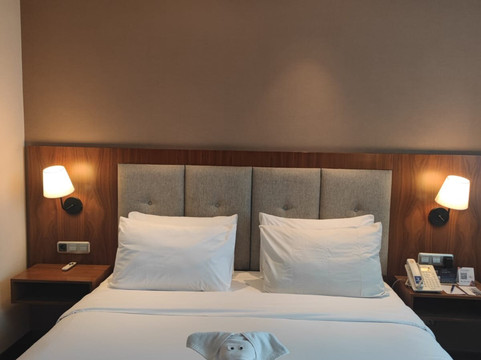 西布布尔阿文泽尔会议酒店主图