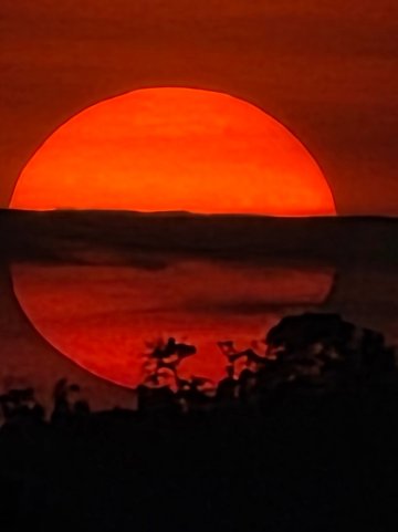 霍马普吉镇酒店-官方