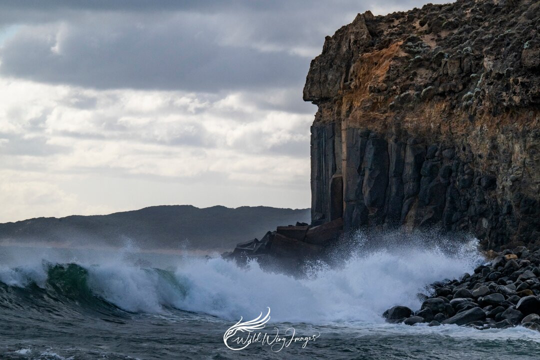 Pemberton Discovery Tours-彭伯顿必去景点