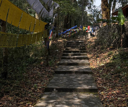 Ease Tours & Treks-甘托克必去景点