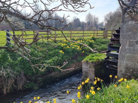 Preston Mill & Phantassie Doocot-East Linton必去景点