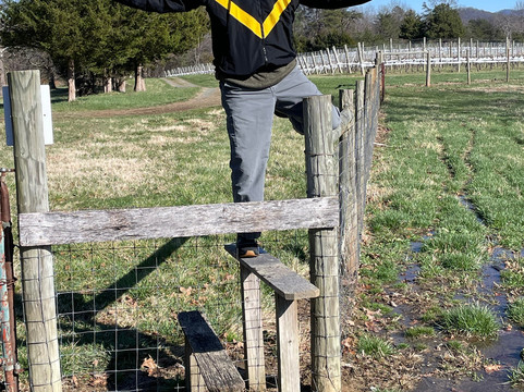 威利塔斯农场旅馆主图