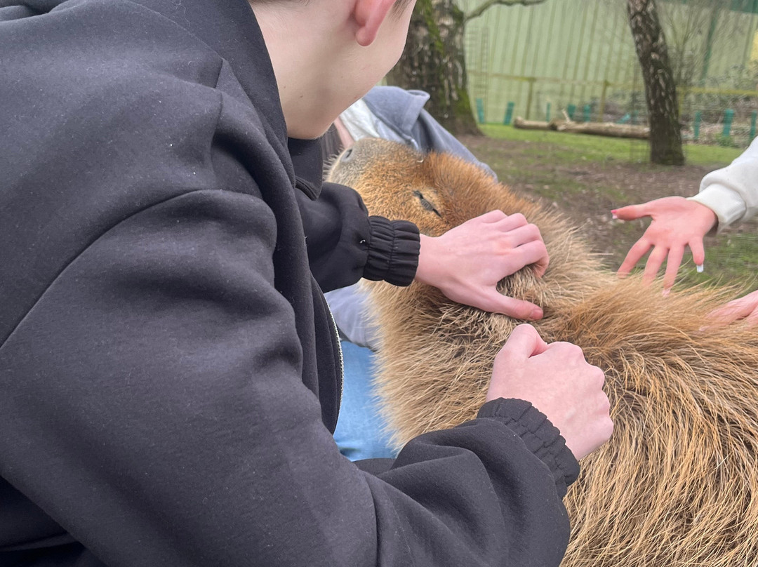 Robin Hoods Wheelgate Park-Farnsfield必去景点