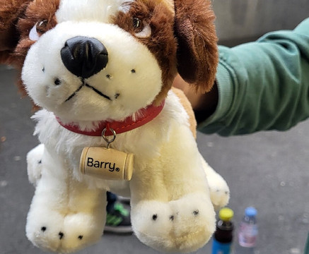 Barryland - Musée et chiens du St-Bernard-马蒂尼必去景点