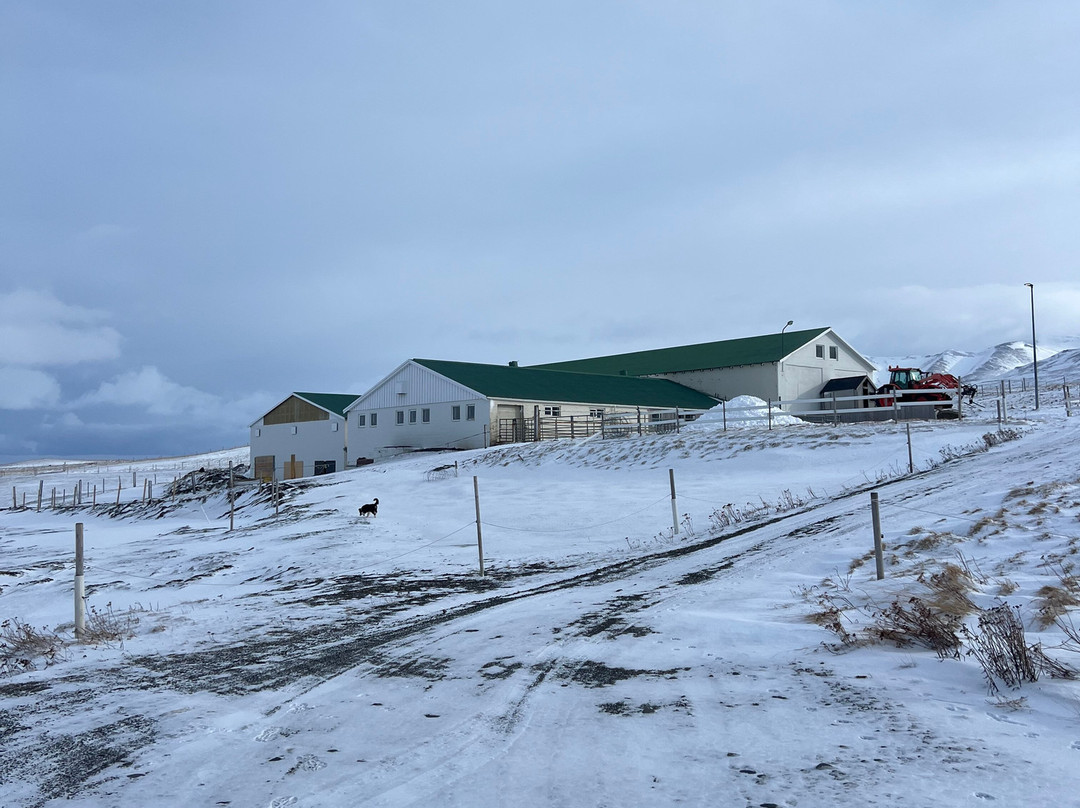 Stóra Ásgeirsá 宾馆主图