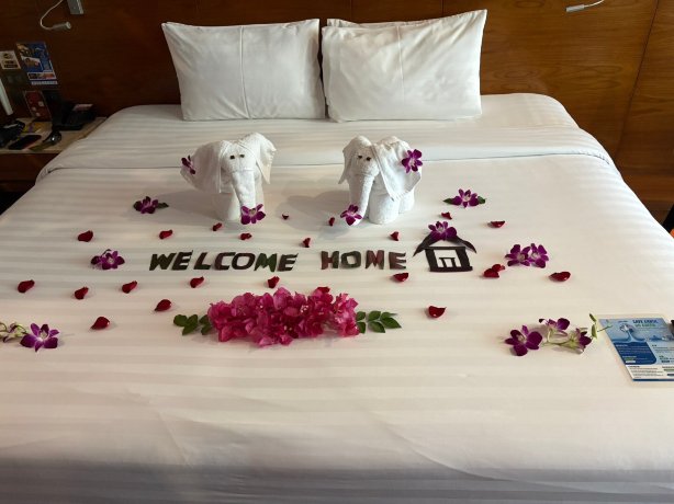 萨瓦斯德乡村酒店-官方