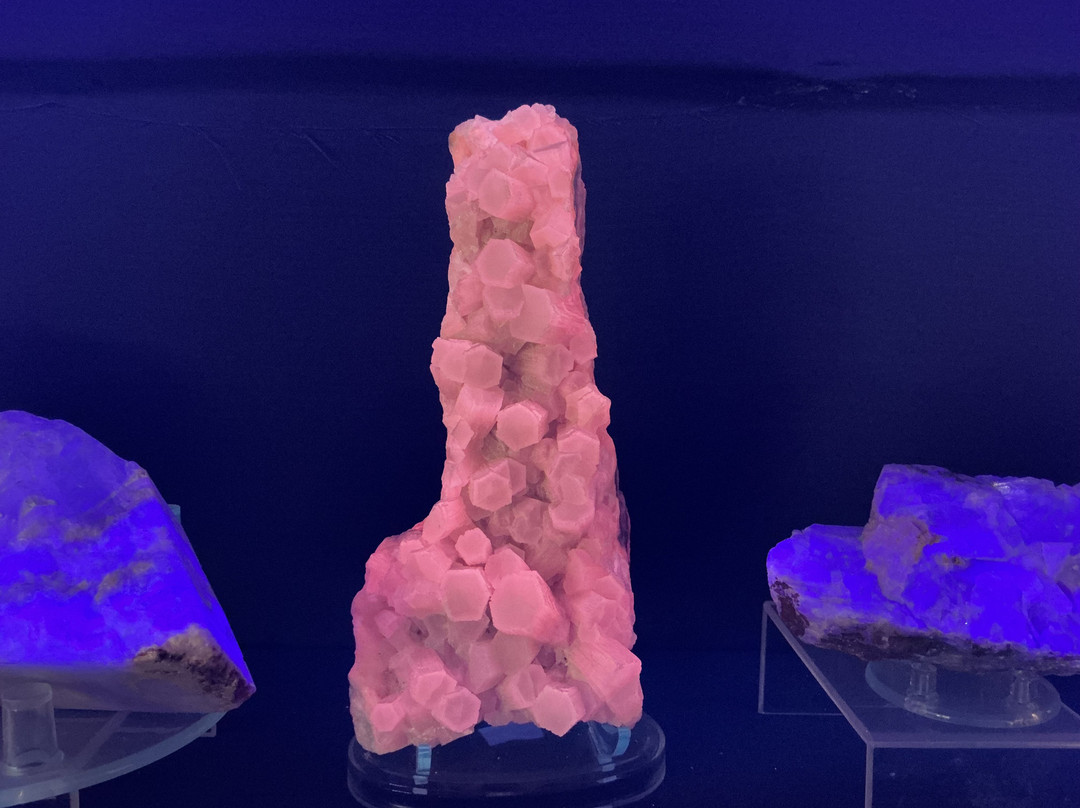 Museo Mineralogico Campano-维克艾库塞必去景点